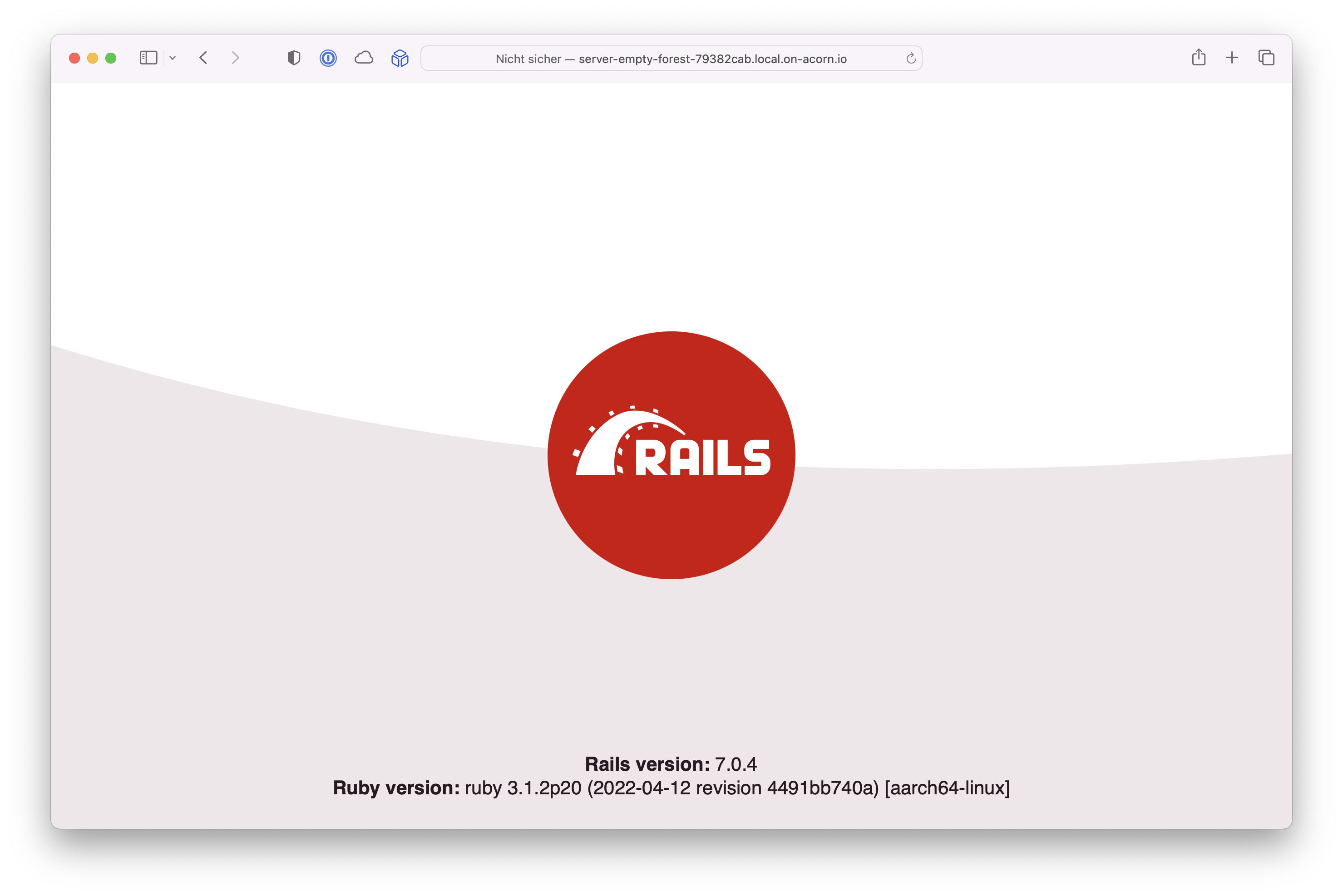 Rails Starter Screenshot